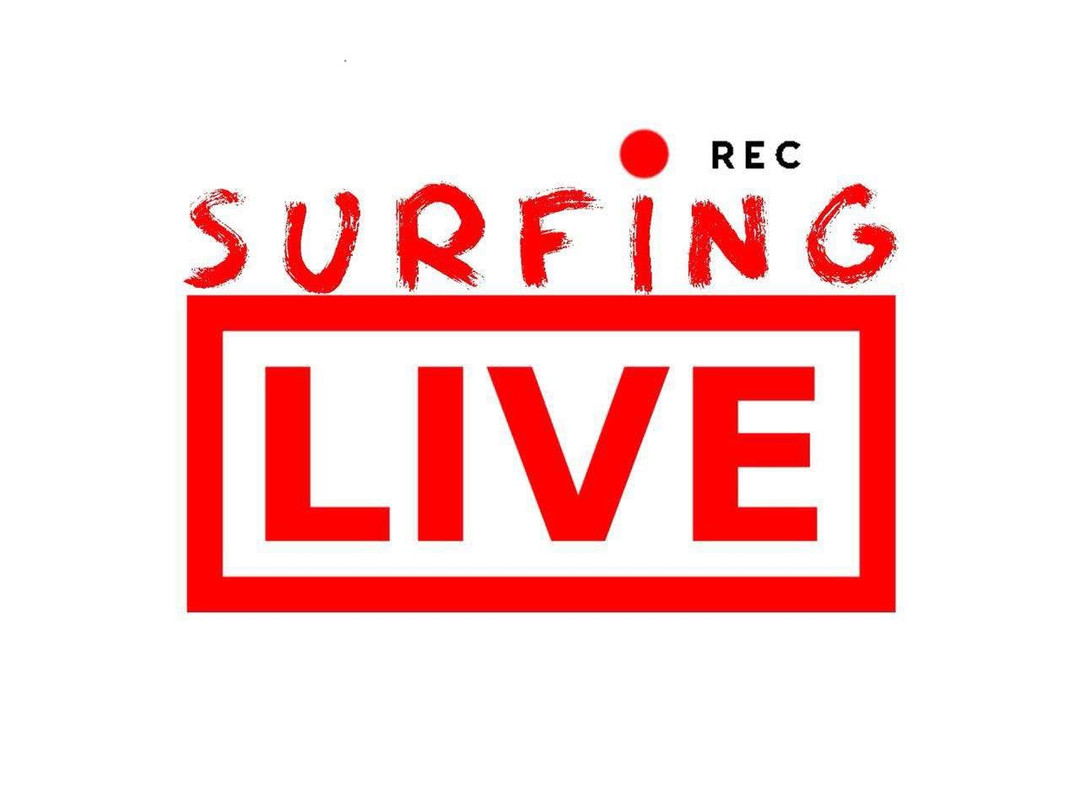 Surfing LIVE Surf School-芽庄必去景点