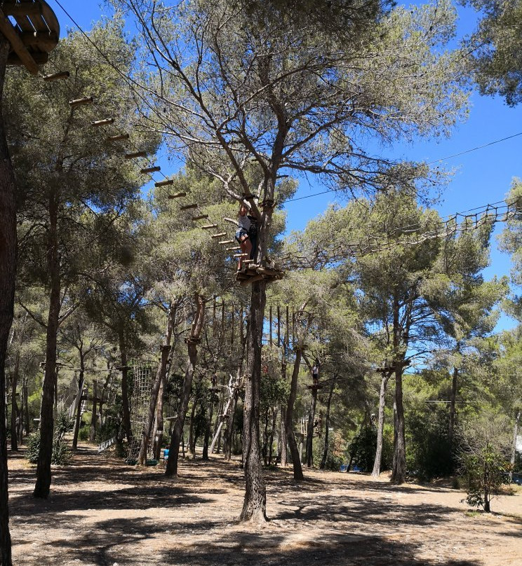 Cassis Forest-卡西斯必去景点