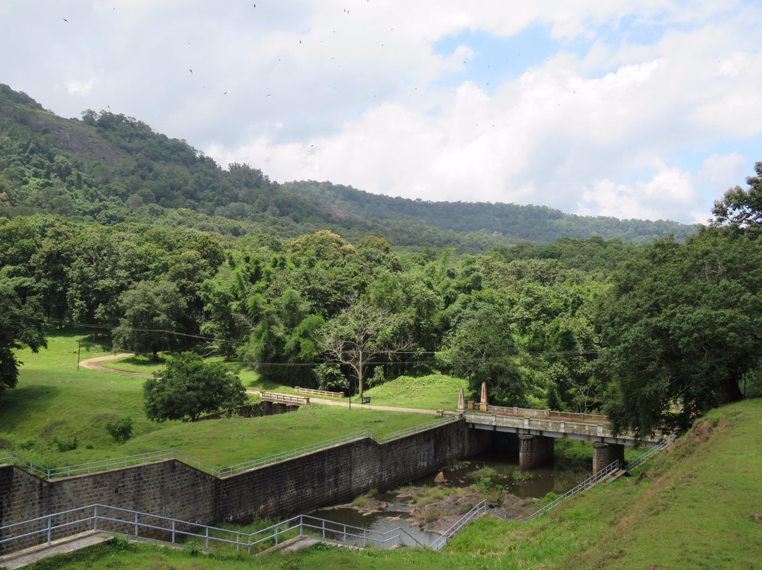 Thoonakkadavu Lake-孔巴托必去景点