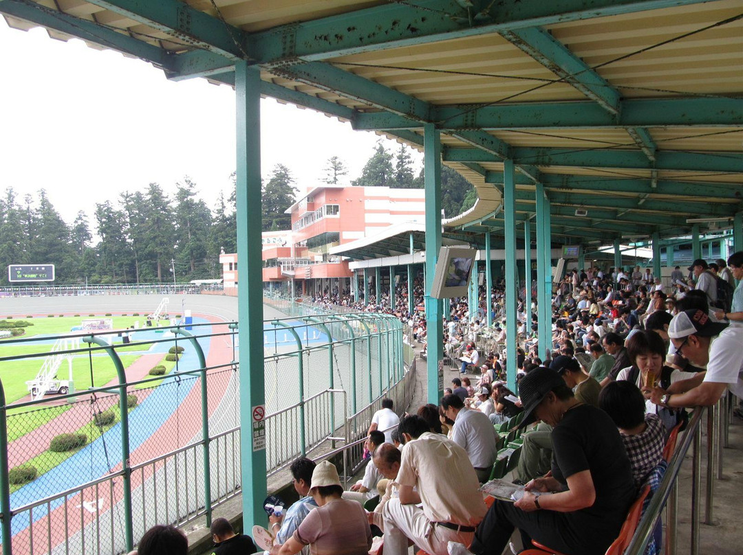 Yahiko Bicycle Race Track景点图片