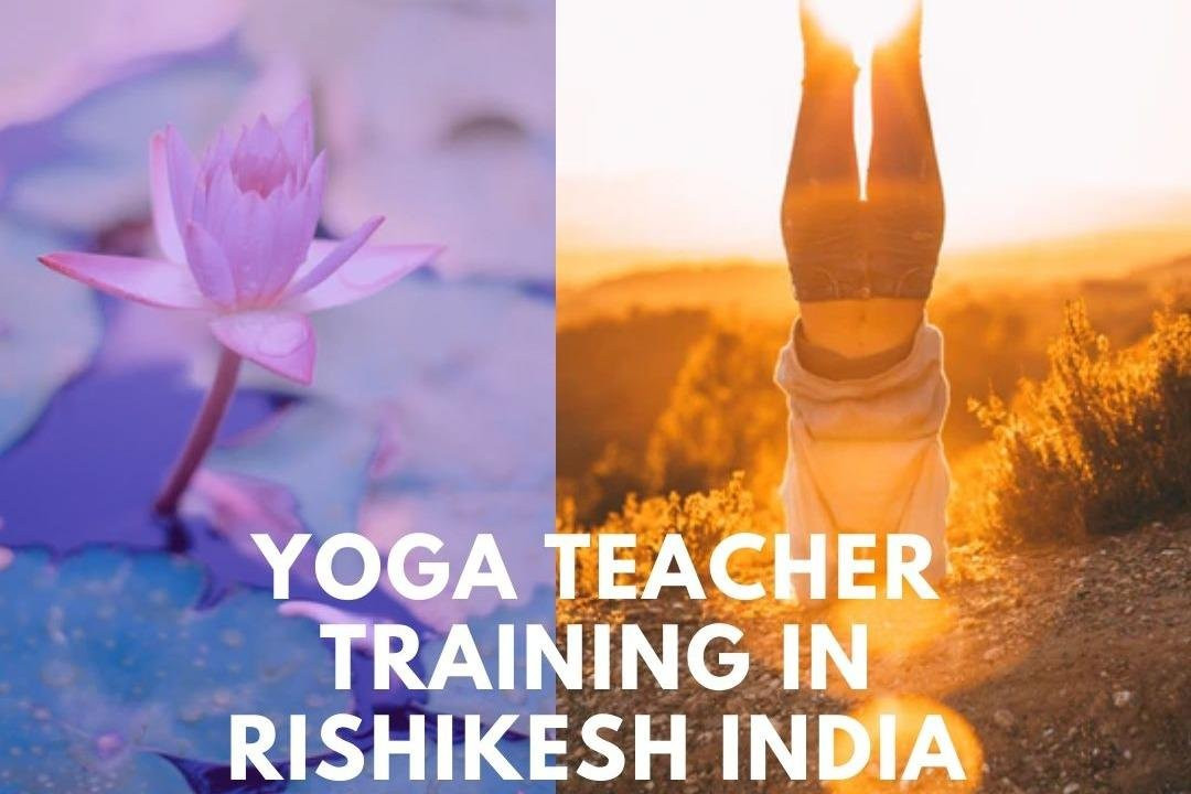PURE SOUL YOGA SCHOOL