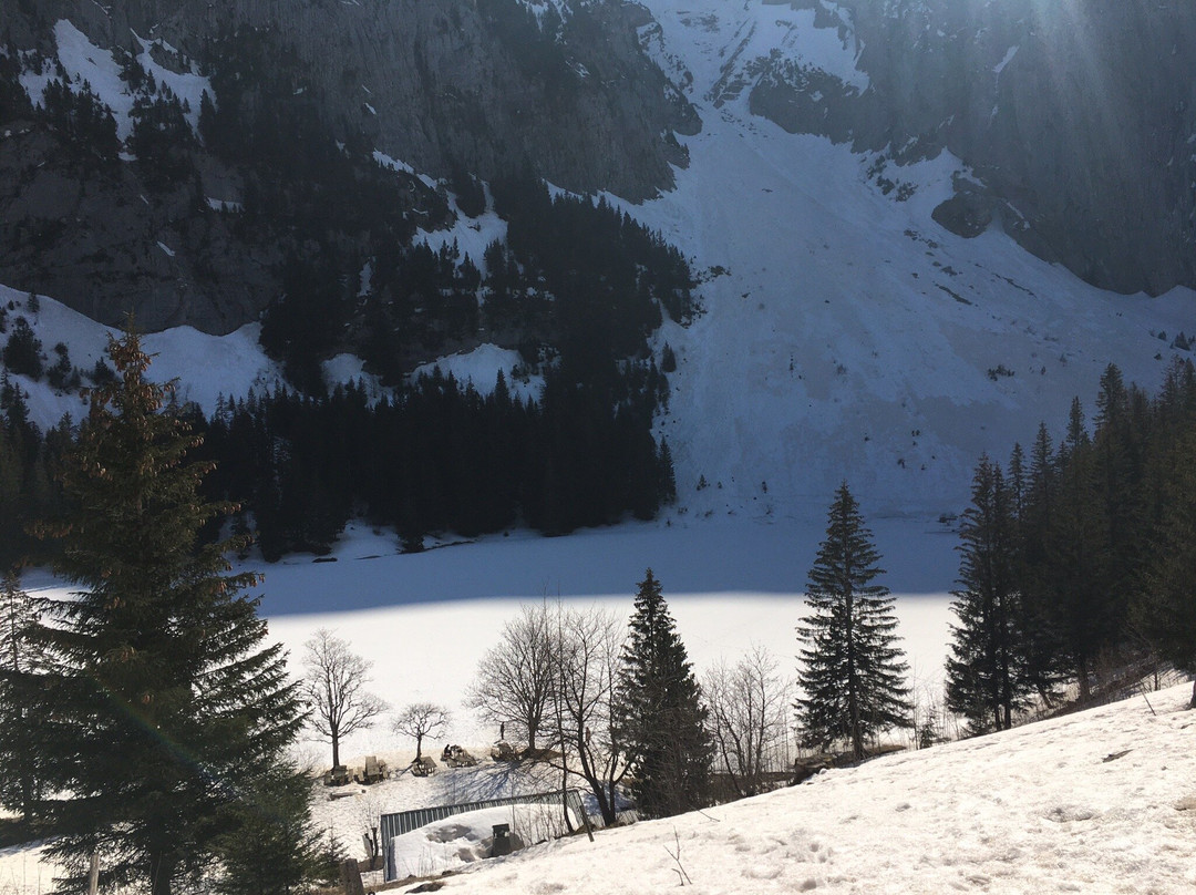 Lac Bénit景点图片