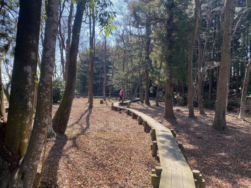 Symplocarpus foetidus of Wetlands in Otawara-太田原市必去景点