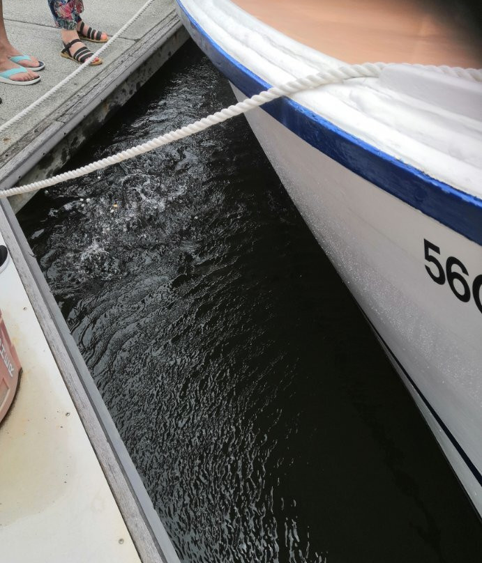 Mooloolaba Canal Cruise-穆鲁拉巴必去景点