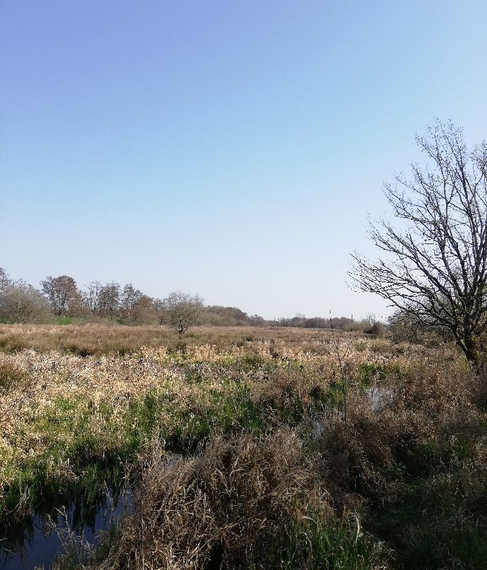 Reserve Naturelle Marais De Bruges景点图片