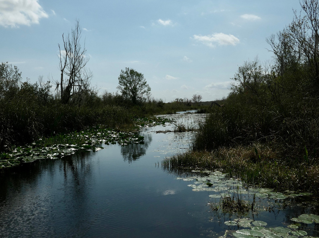 Justin's Jungle Airboat Rides-Umatilla必去景点
