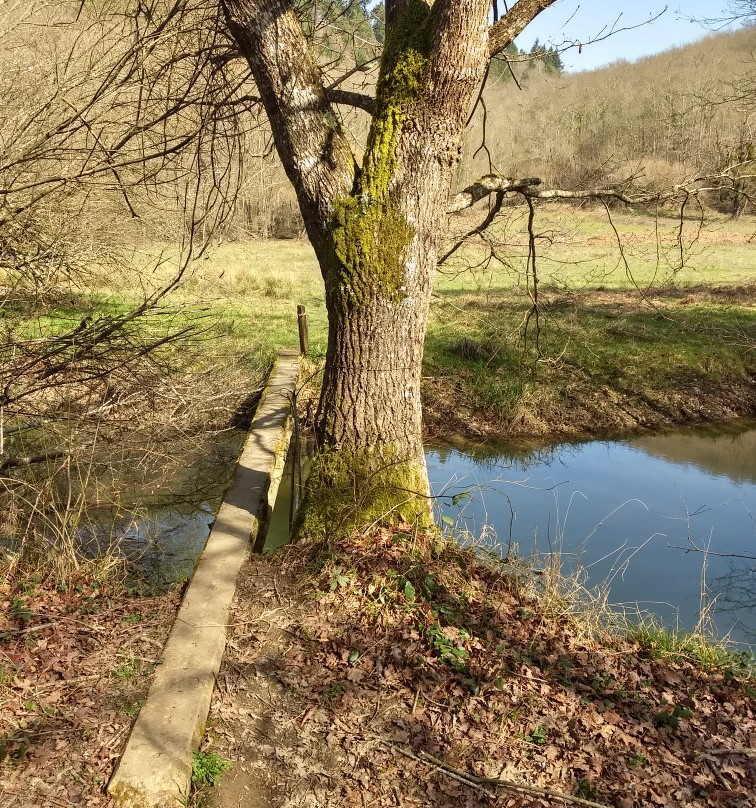 Lac de Mondely-La-Bastide-de-Serou必去景点