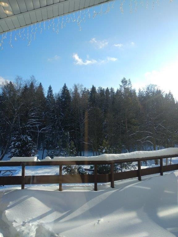 Park Hotel Dobrograd主图