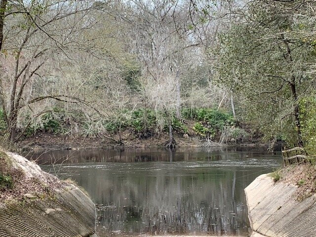 Suwanee River State Park-Live Oak必去景点