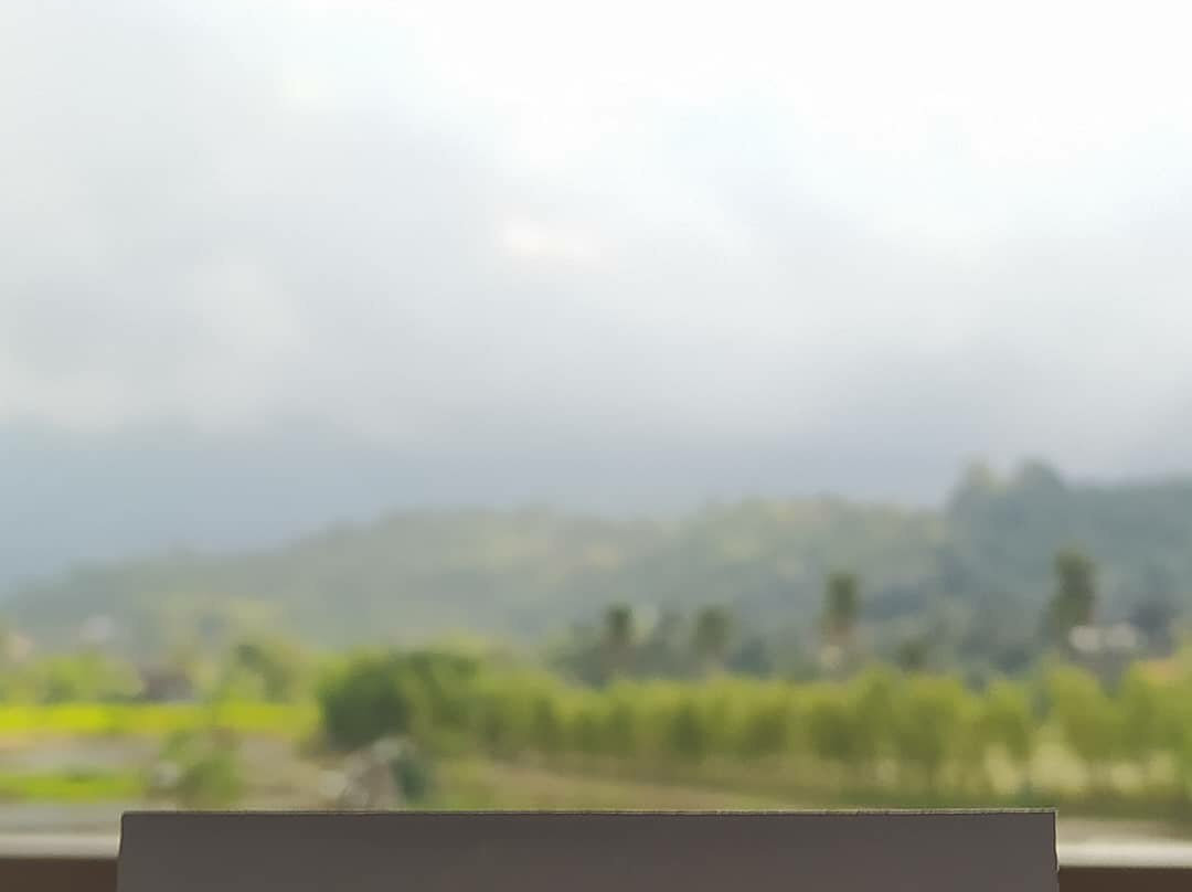 Melva Balemong主图