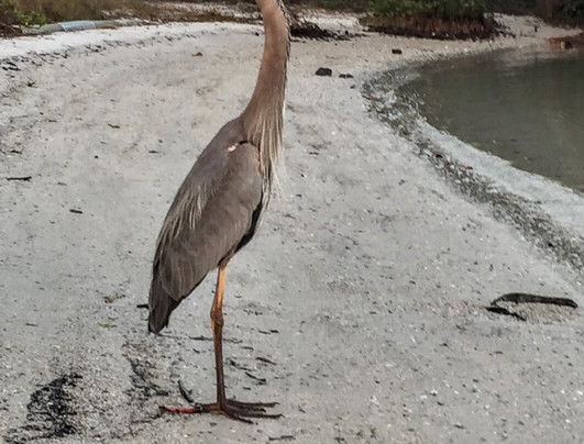 Seaway Outfitters-迈尔斯堡海滩必去景点