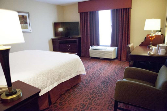 Hampton Inn Rochester-Webster主图