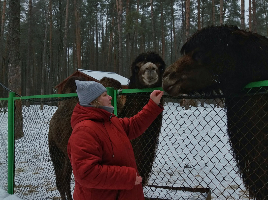 Orlovskoye Polesye National Park景点图片