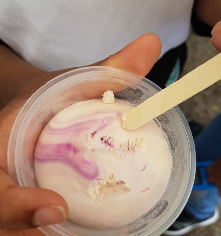 Warratina Lavender Farm-Wandin North必去景点