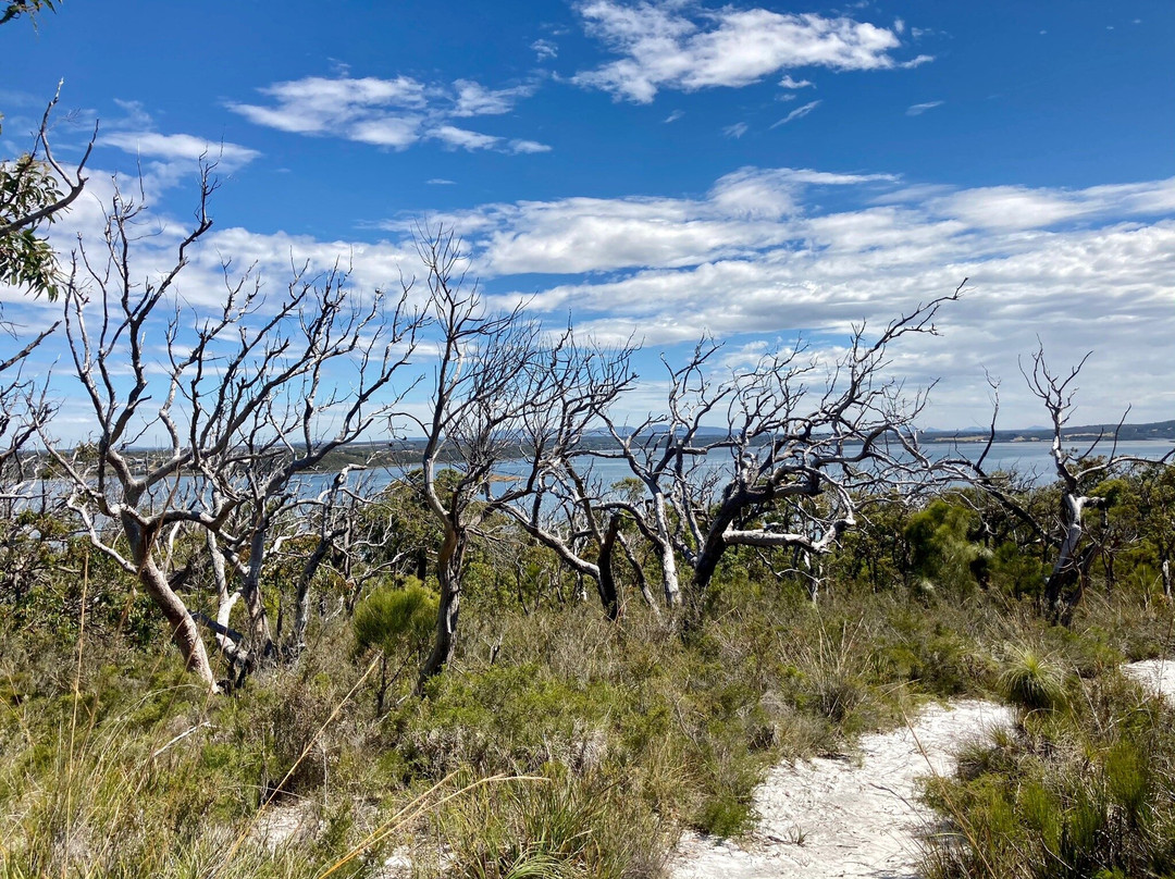 Gull Rock National Park-奥尔巴尼必去景点