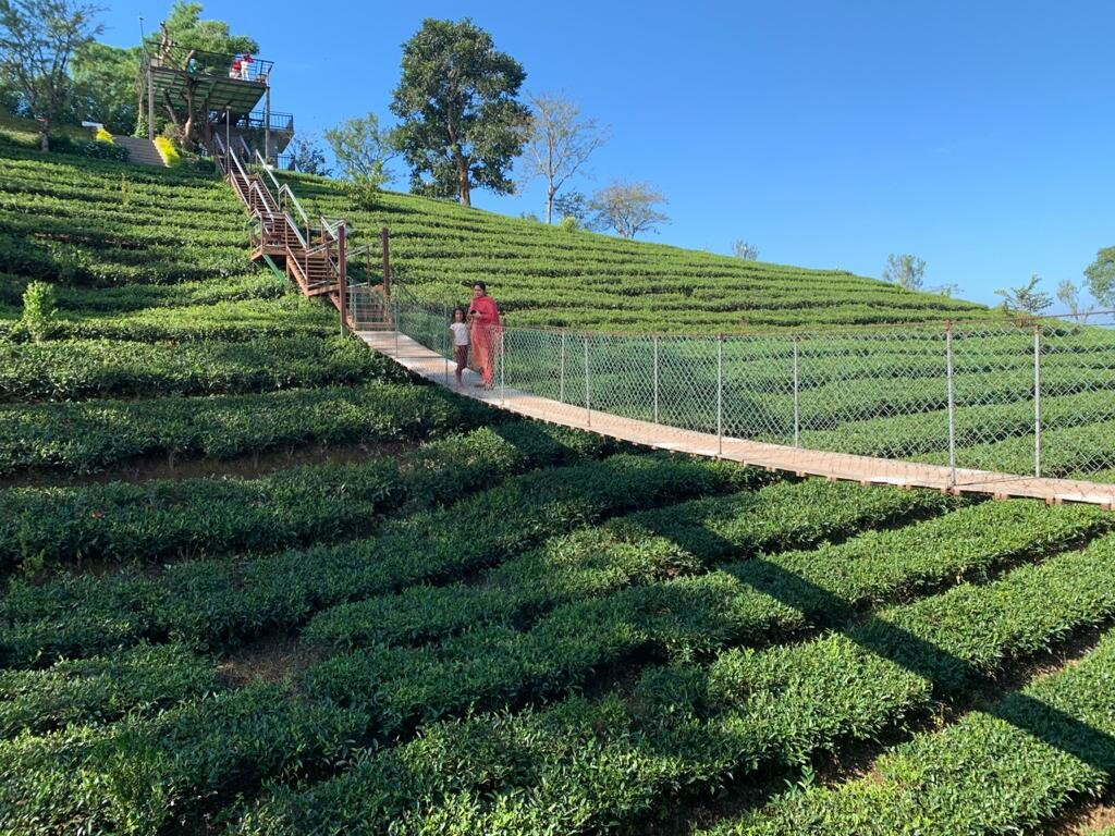 Dream Catcher Plantation Resort主图