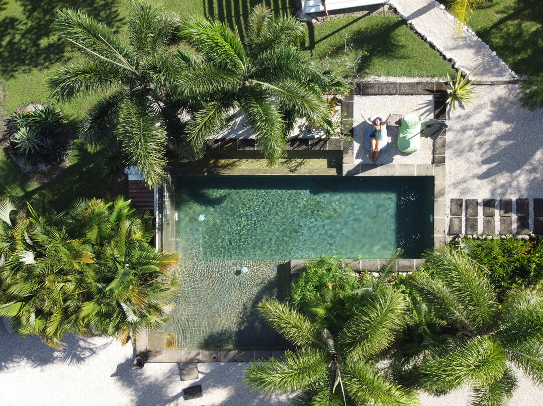 Les Voiles Blanches主图