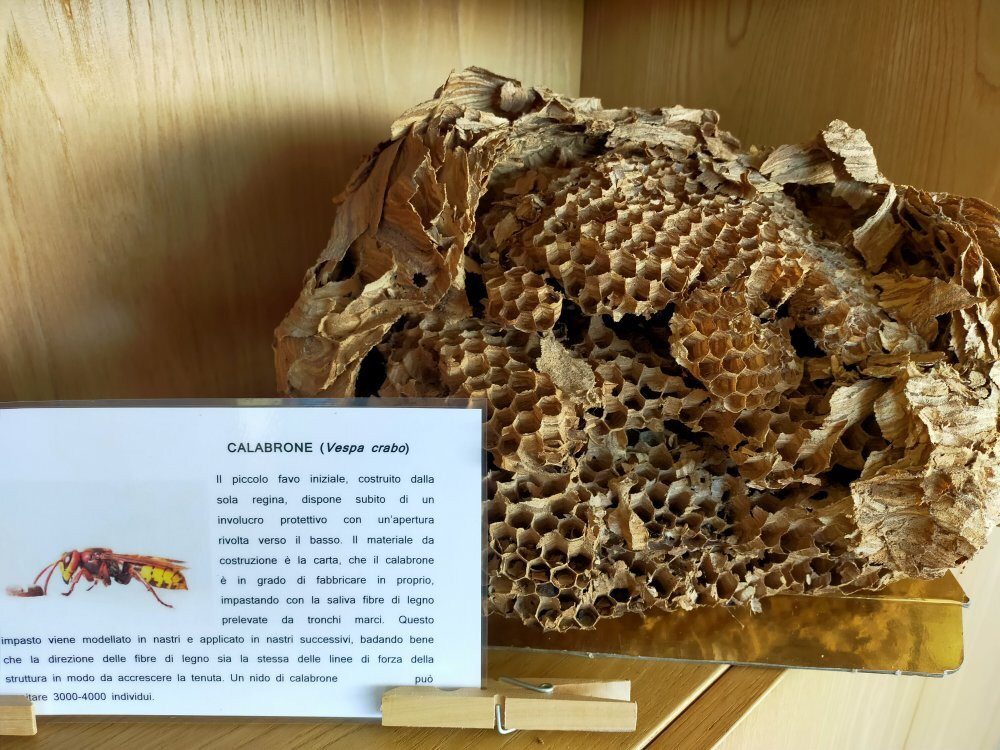 Riserva Naturale Regionale Guardiaregia-Campochiaro-Guardiaregia必去景点