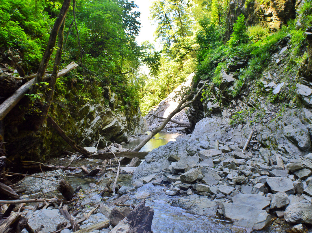 Bzogu Waterfall景点图片