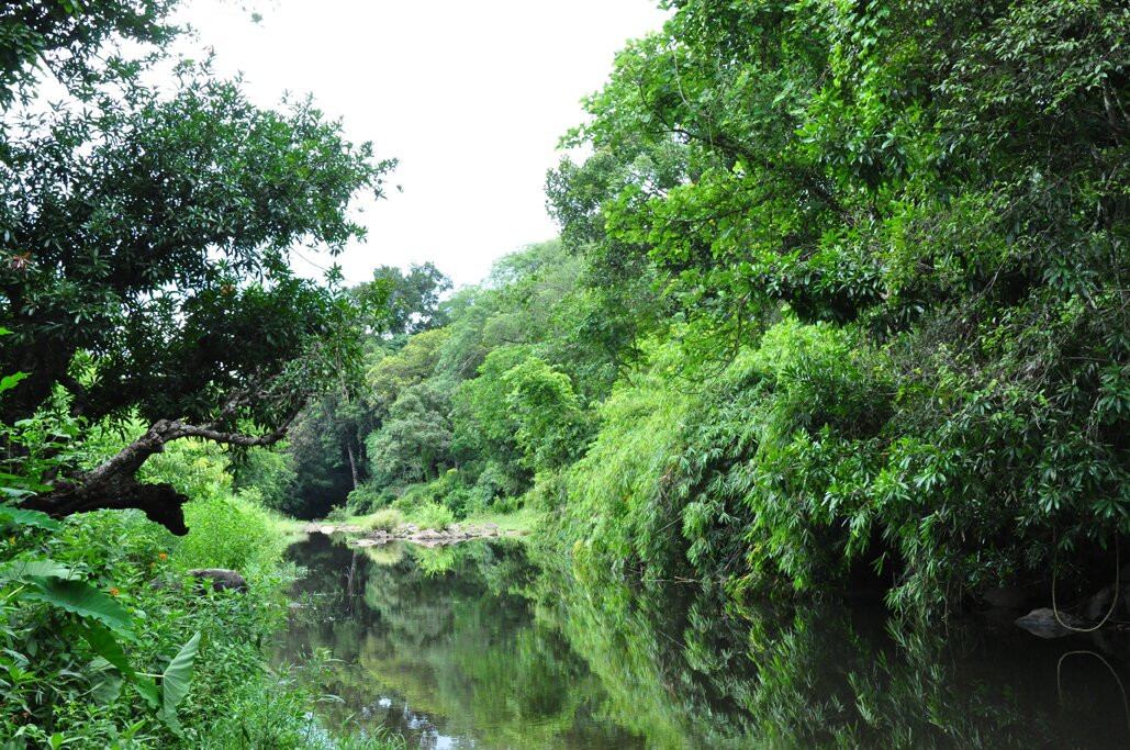 Vattakkuny Wild Orchid Resorts主图