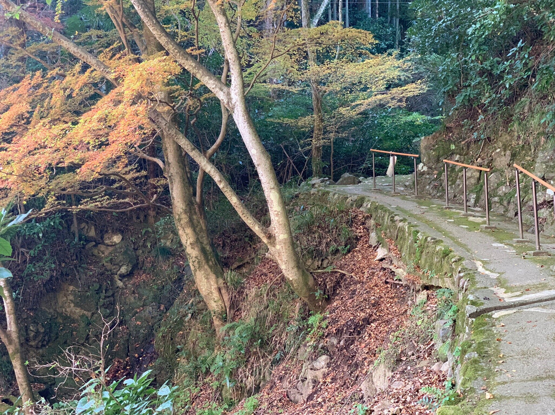 Otome Mountain Path Maria Cathedral-津和野町必去景点