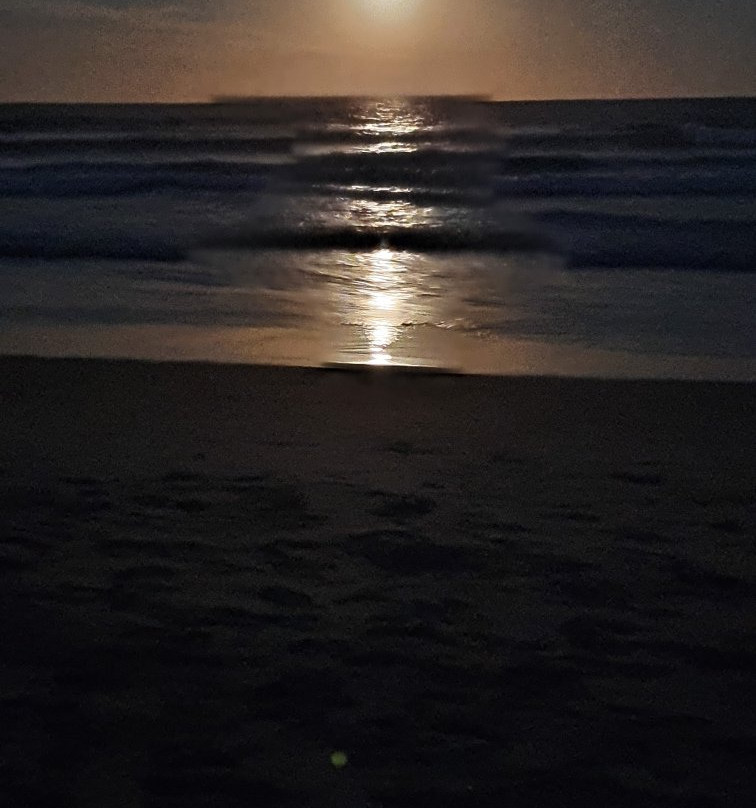 Marcoola Beach-Marcoola必去景点