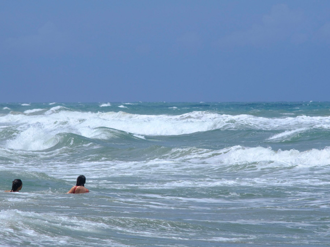 Cabarete Surfcamp主图