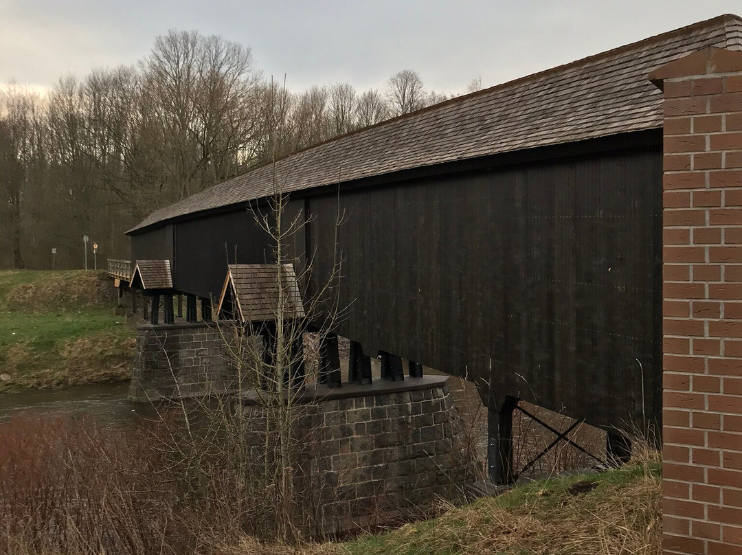 Röhrensteg Wooden Bridge-Zwickau必去景点