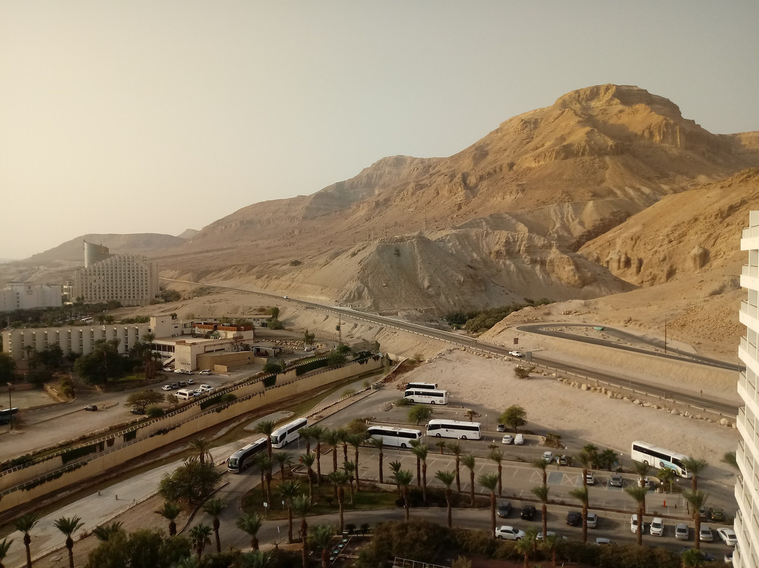 死海艾美酒店主图