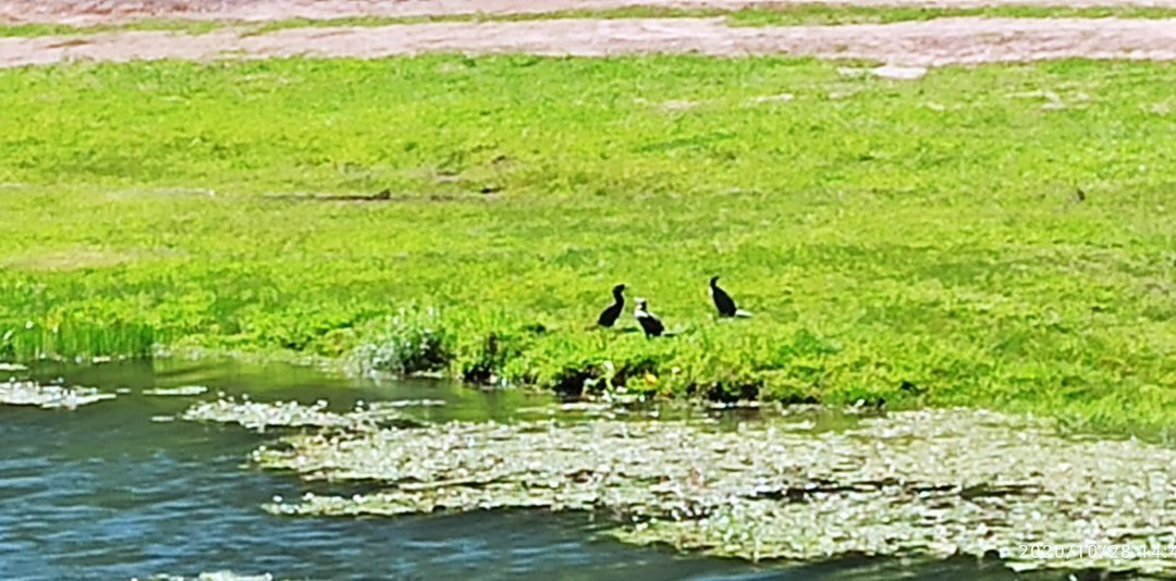 Ipora-Balneario Ipora必去景点