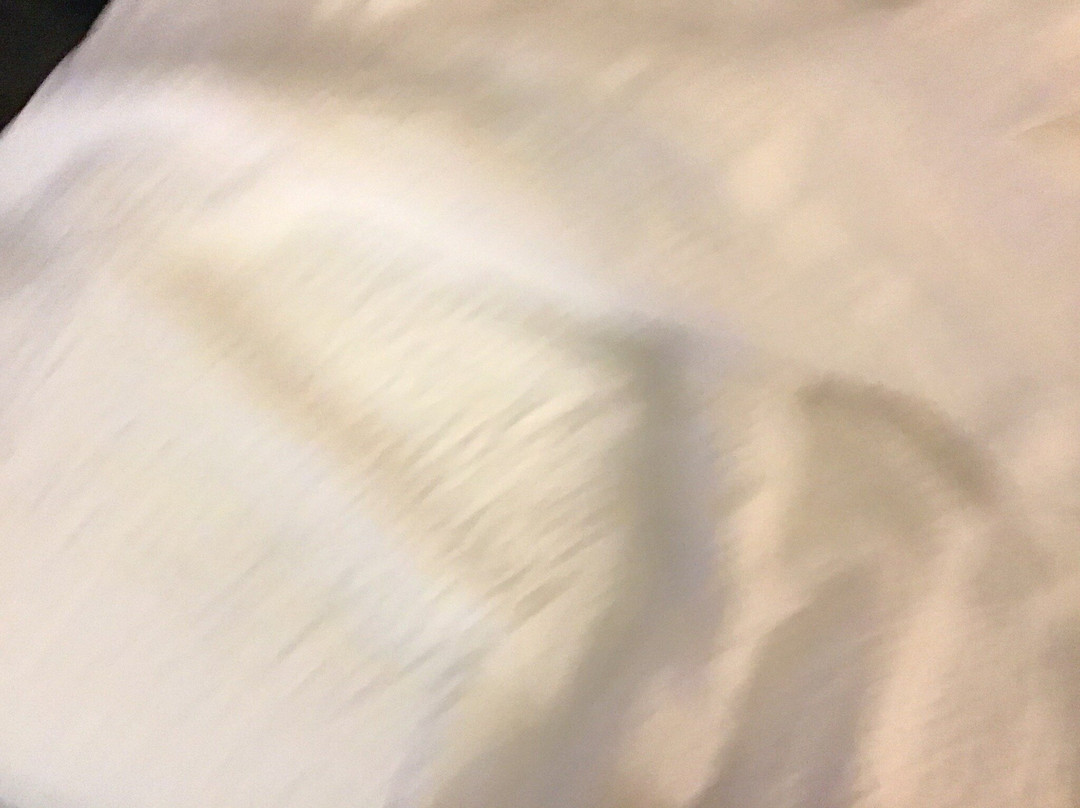 Fairfield by Marriott Inn & Suites Birmingham Pelham主图