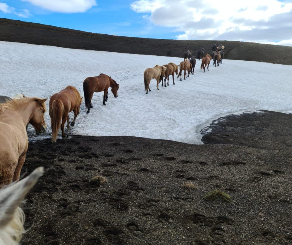 Nupshestar-塞尔福斯必去景点