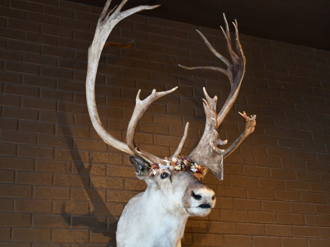 Montgomery Distillery-米苏拉必去景点