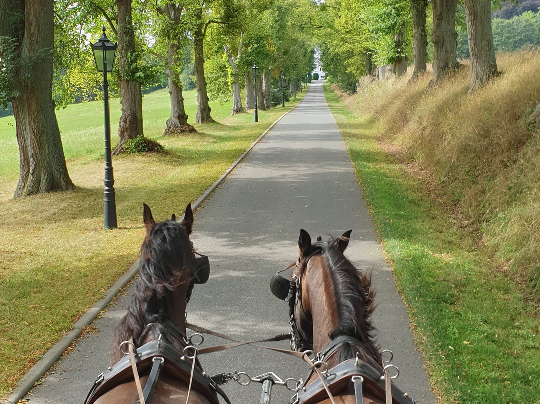 舒尔兹伯格城堡酒店主图