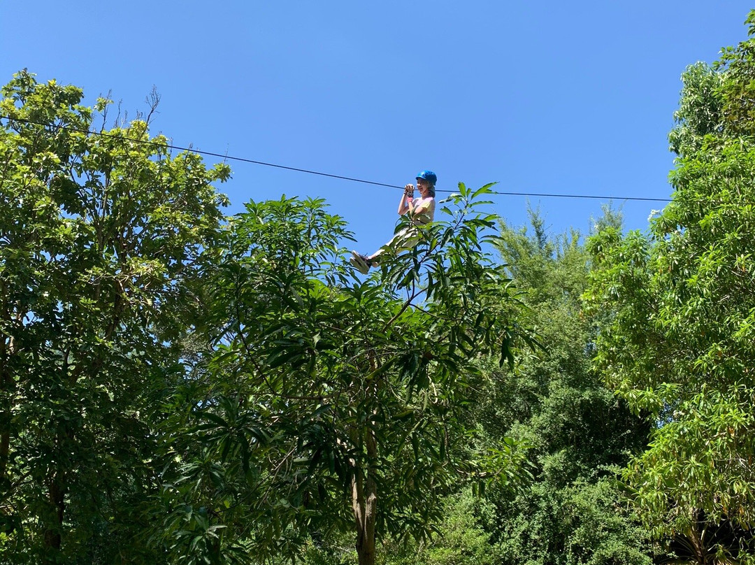 Tree Top Adventure Park-华欣必去景点