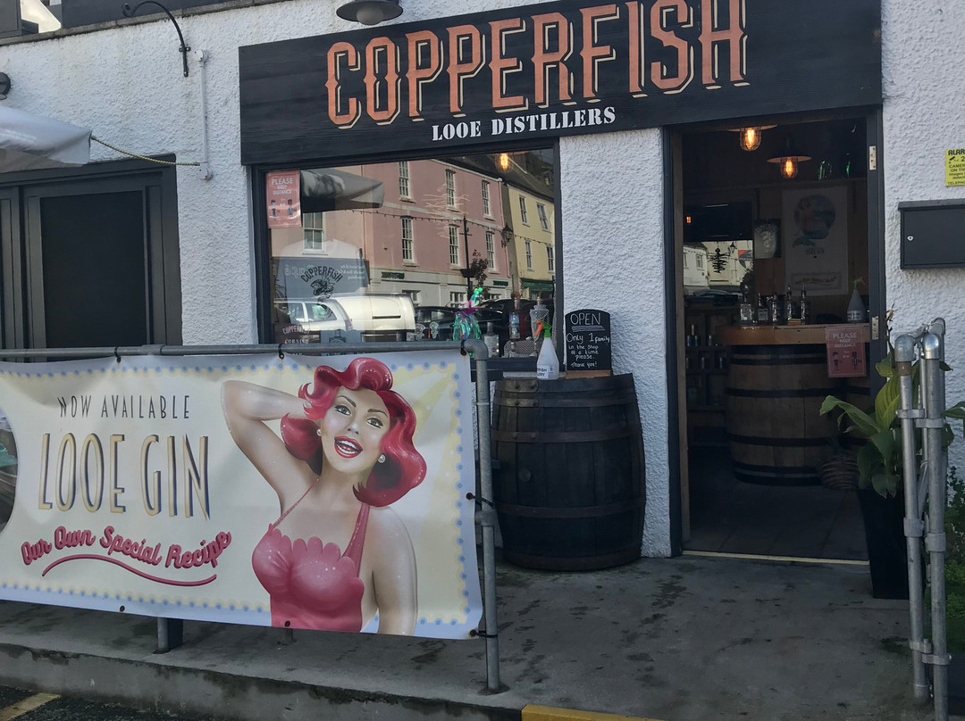 Copperfish Distillery景点图片