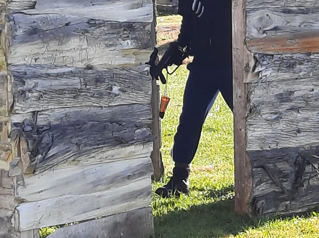 MARKED: Ultimate Family Adventure Park-Carleton Place必去景点