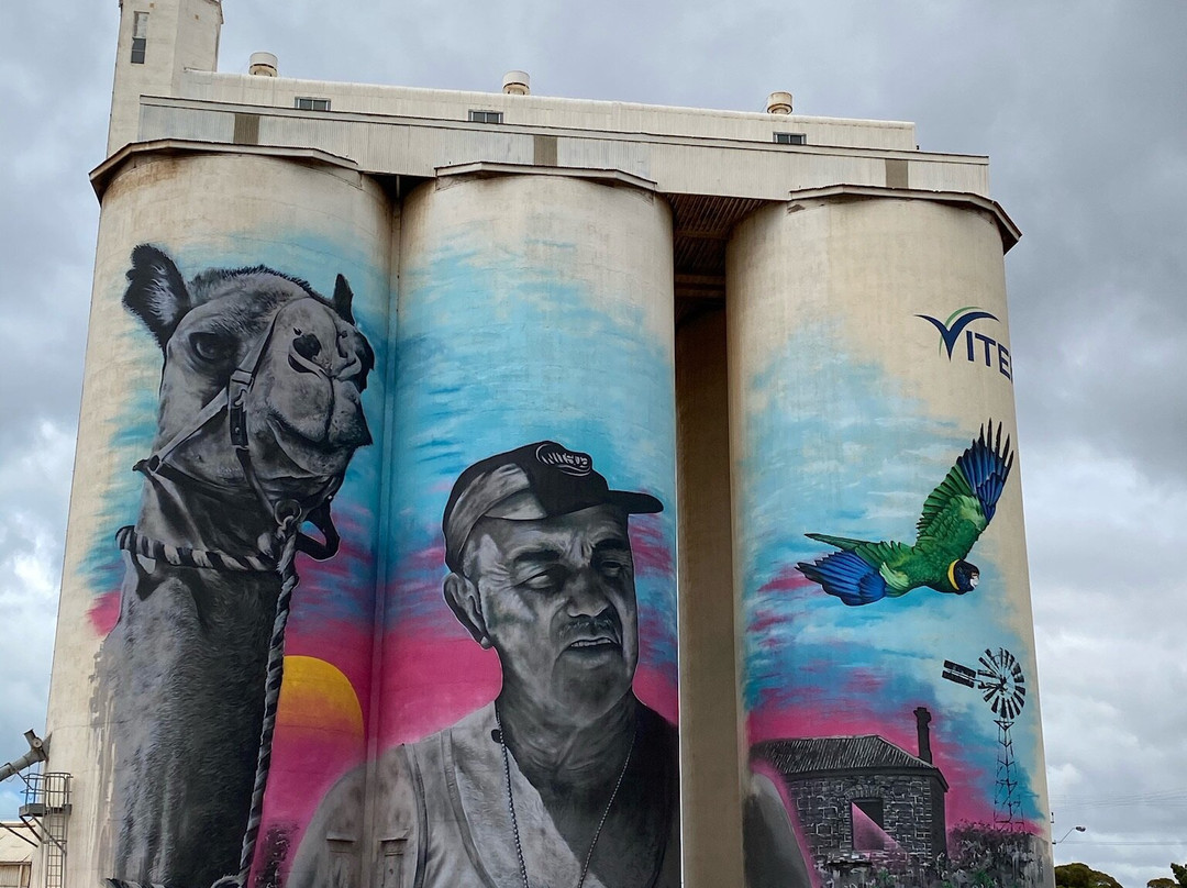 Cowell Silo Art景点图片