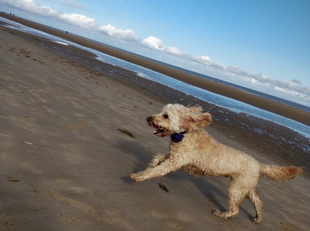 Mablethorpe Beach景点图片