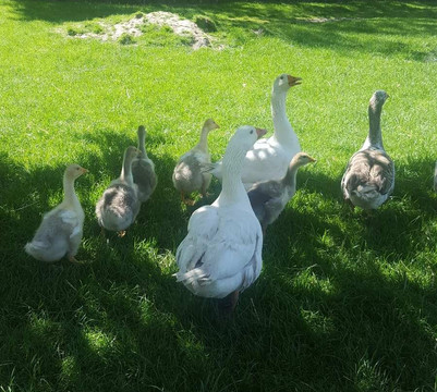 Martinborough Manor-马丁堡必去景点