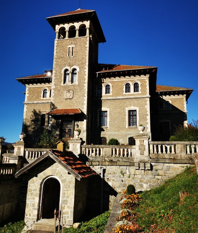 Cantacuzino Castle景点图片