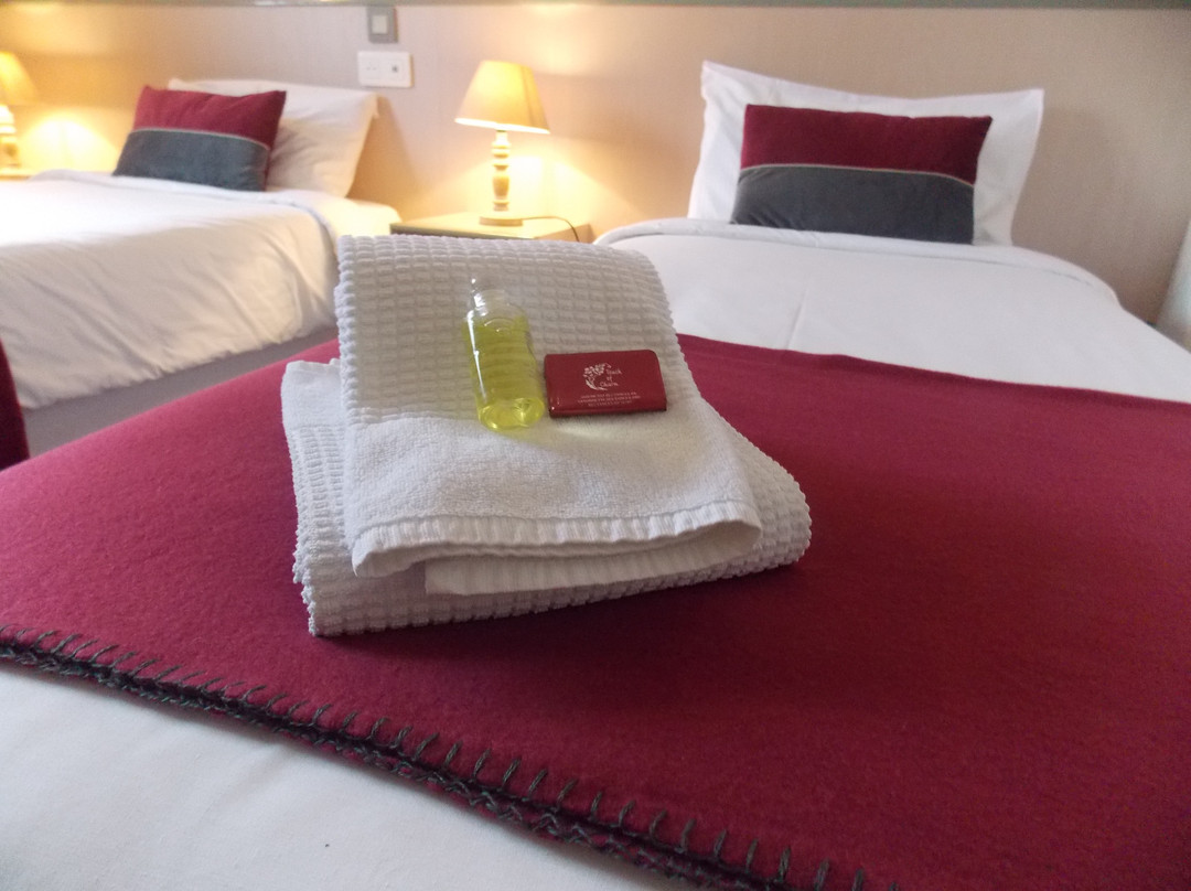 Hôtel Le Savoie主图