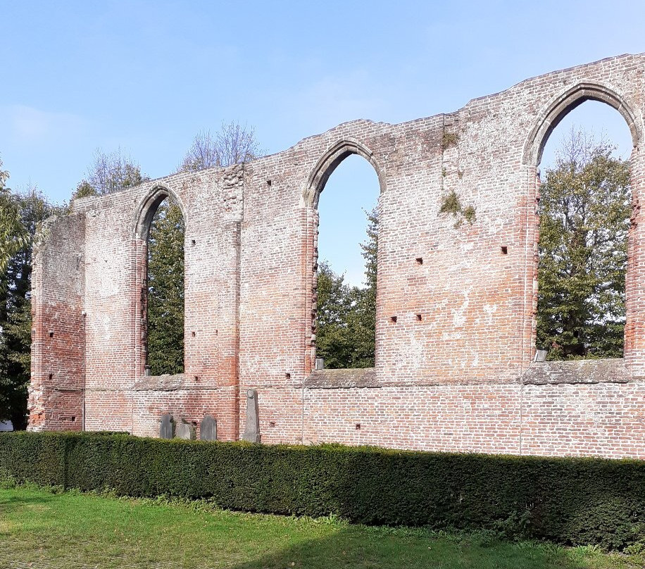 De Ruinekerk van Bergen uit 1597景点图片