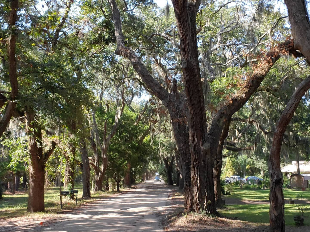 Camelot Farms Equestian Center-Saint Helena Island必去景点