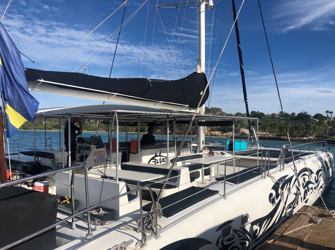 CT .com-威廉斯塔德必去景点