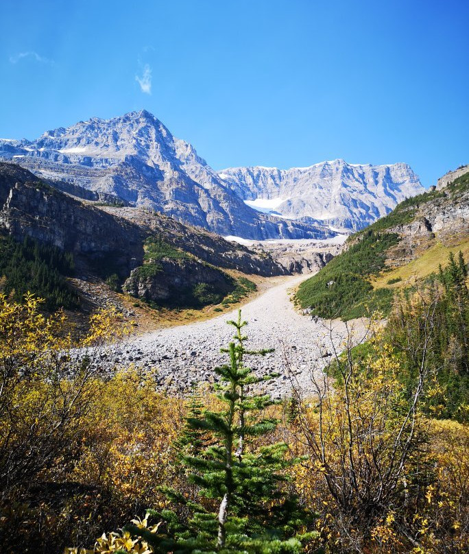 Plain of Six Glaciers景点图片