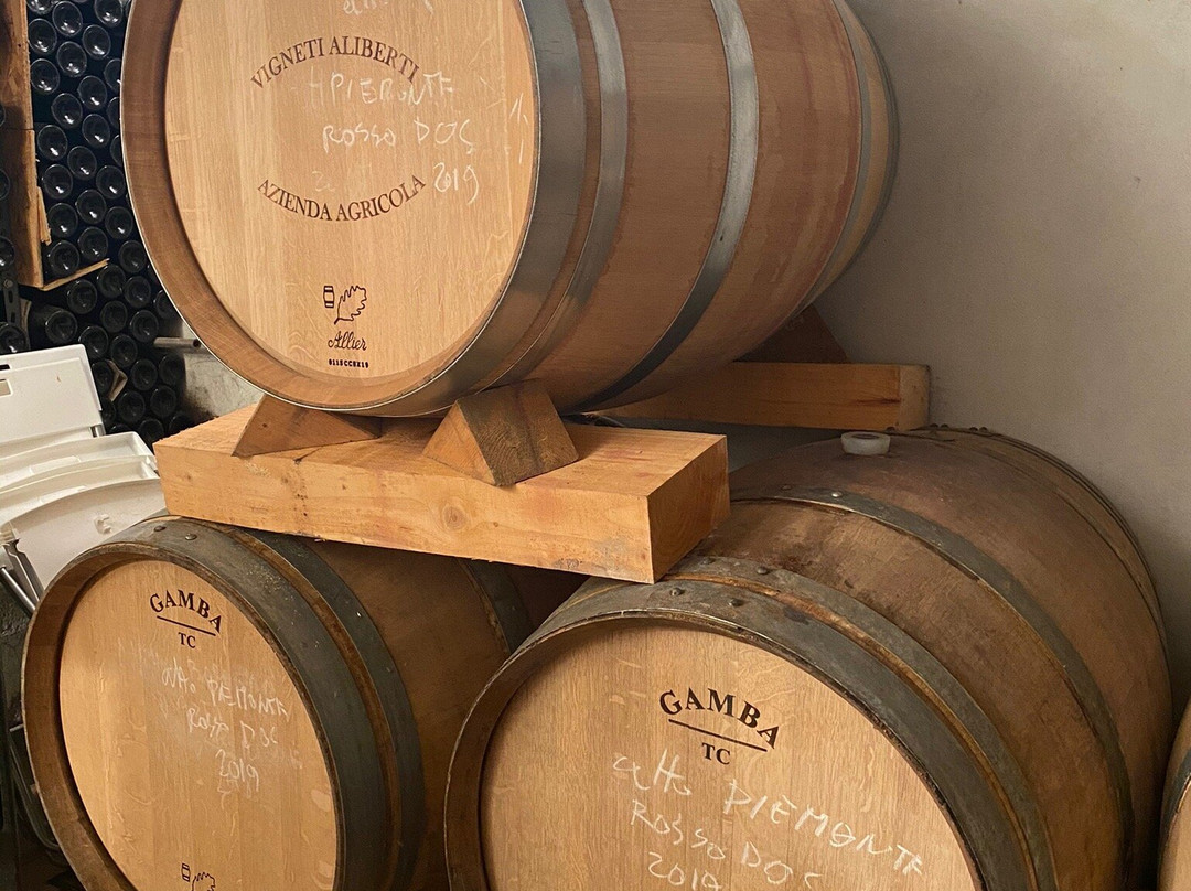 Vigneti Aliberti Azienda Agricola-Canelli必去景点
