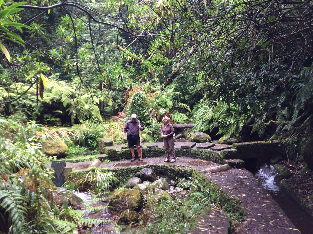 Lokoloko - Mountain Bike & Outdoor Tours-Canico必去景点