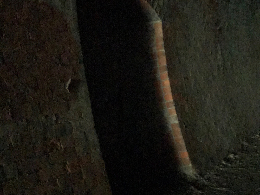 Cheviot Tunnel景点图片