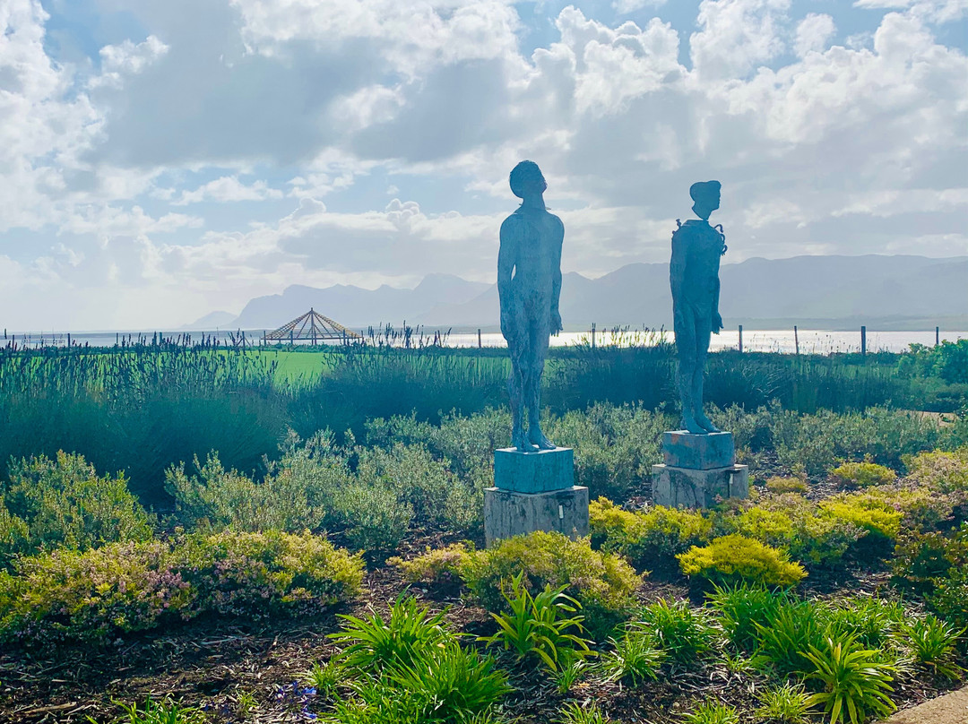 Benguela Cove Wine Tasting-Sedgefield必去景点